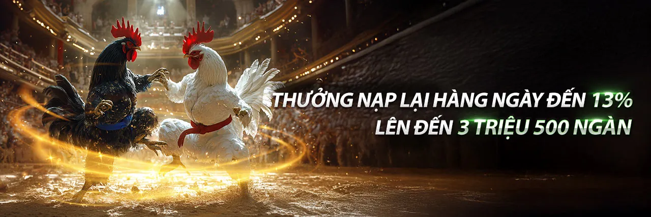 Tin tức mới nhất từ aa5, nền tảng cá cược trực tuyến hàng đầu